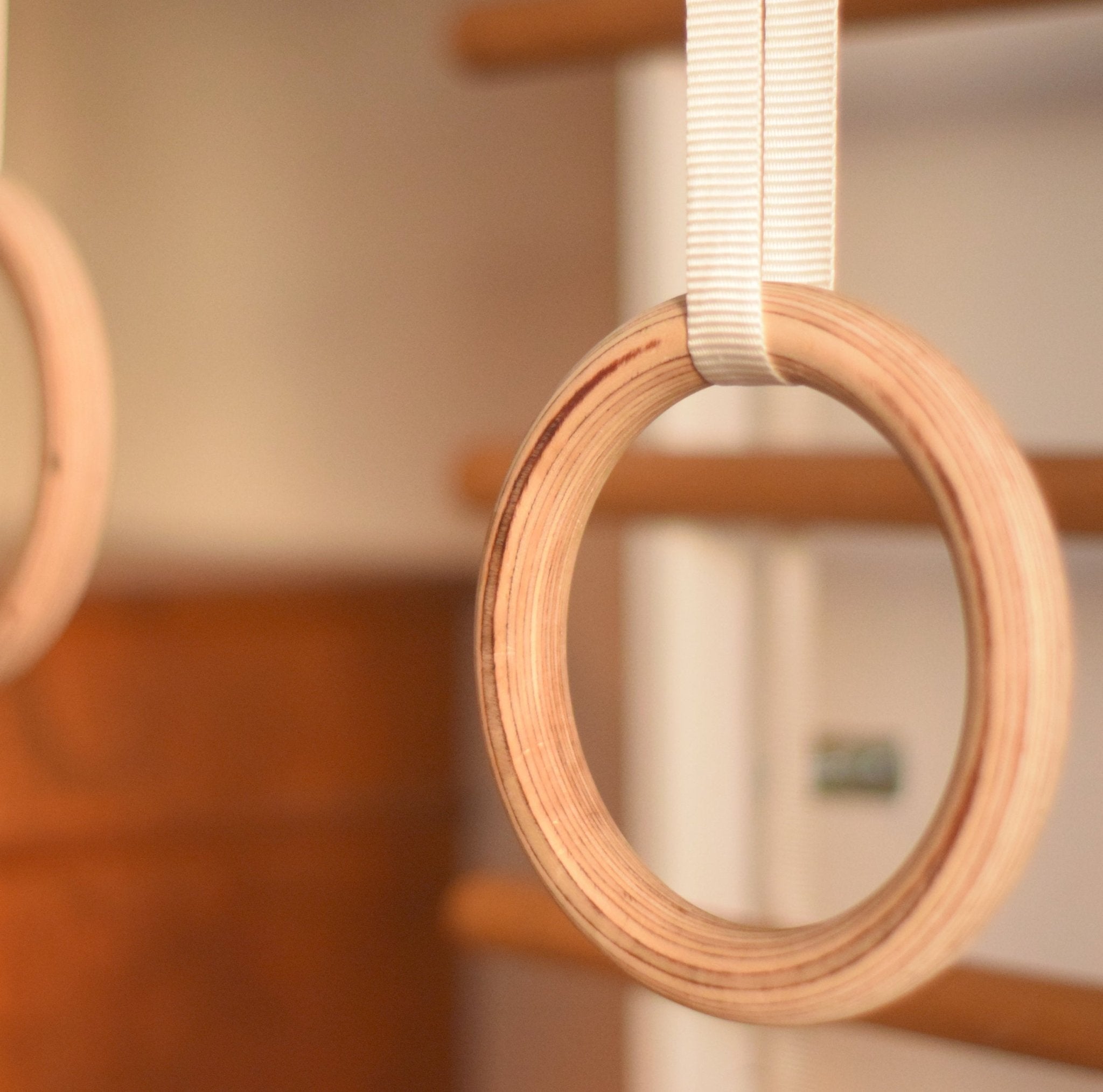 Gymnastic rings wooden hotsell
